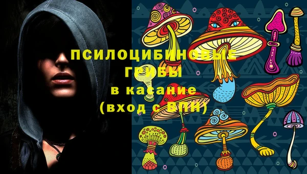 гашик Абаза