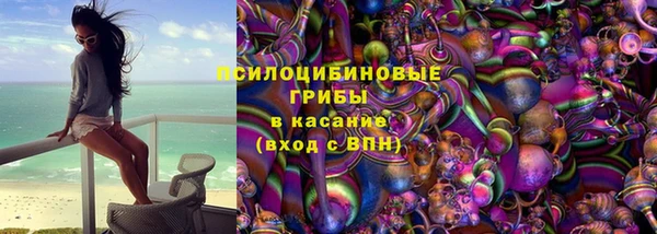 гашик Абаза